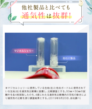 骨盤３３